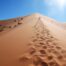 Aventure en famille dans le désert du Sahara au Maroc
