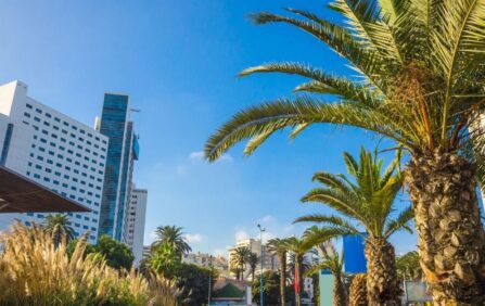 Les plus beaux parcs à Casablanca au Maroc