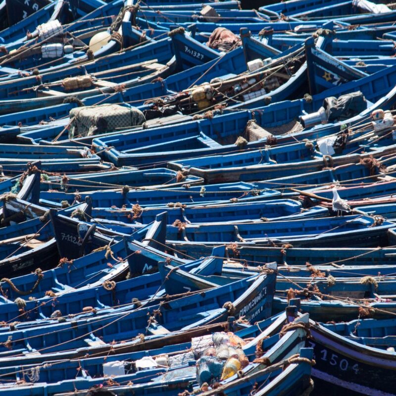 Randonnée à Essaouira Maroc - long de l'Atlantique