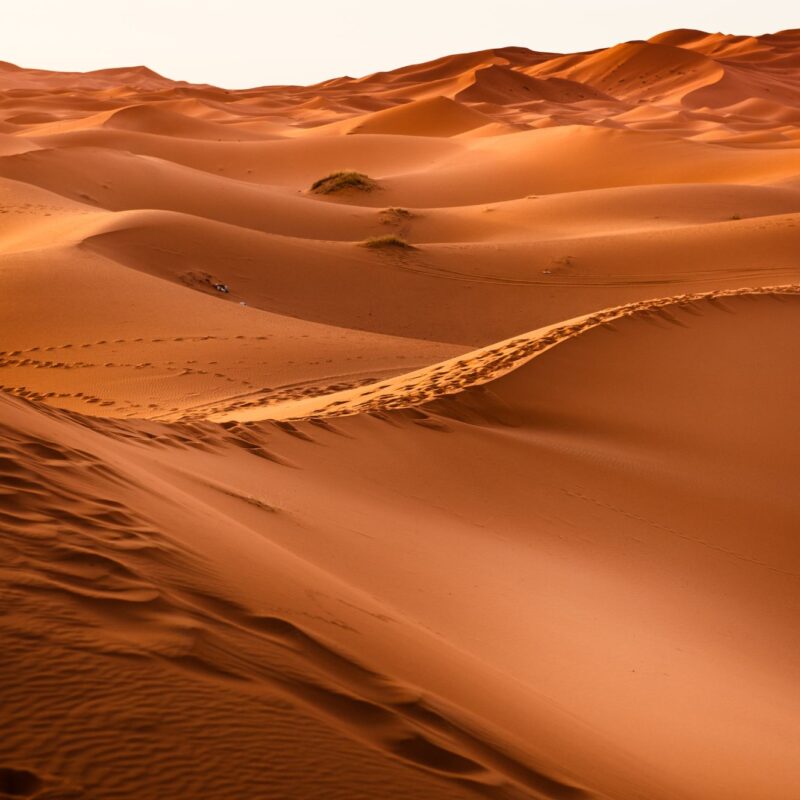 Trek dans le désert du Sahara au Maroc